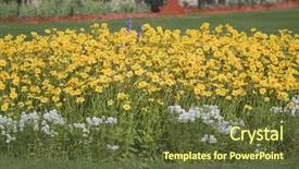  Presentation with garden - Theme consisting of yellow-flowers-in-a-garden background and a tawny brown colored foreground
