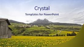  Presentation with bloom - Amazing PPT layouts having yellow-flowers-in-bloom backdrop and a sky blue colored foreground