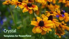  Presentation with yellow orange - Slide deck with yellow flowers of orange background and a tawny brown colored foreground