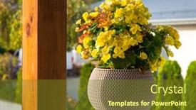  Presentation with geranium - Audience pleasing presentation theme consisting of yellow-geranium-in-a-hanging backdrop and a tawny brown colored foreground