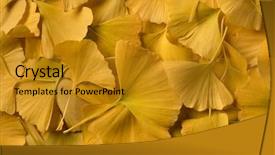  Presentation with ginkgo - Presentation theme featuring yellow ginkgo biloba leaves full background and a gold colored foreground
