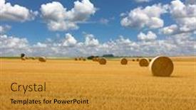  Presentation with hay field - Slide deck enhanced with agriculture - yellow golden straw bales background and a gold colored foreground