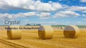  Presentation with hay field - Beautiful PPT layouts featuring hay in the stubble field backdrop and a light blue colored foreground