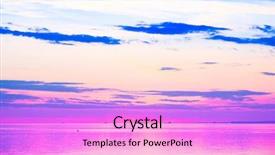  Presentation with dog cat sunset - Presentation design enhanced with butterflies - swallowtail butterfly frontal view background and a violet colored foreground