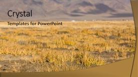  Presentation with golden yellow - Audience pleasing PPT theme consisting of yellow grass in the mongolian backdrop and a coral colored foreground