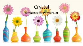  Presentation with diversity bright colors - PPT theme having yellow green - colorful daisy flowers in bright background and a blonde colored foreground