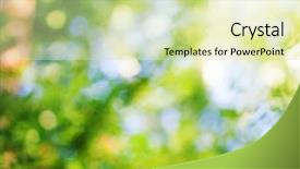  Presentation with bright - Presentation consisting of yellow green - summer bokeh beautiful bright background background and a soft green colored foreground