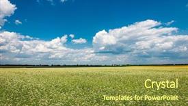  Presentation with yellow green - Audience pleasing theme consisting of yellow-green field under the beautiful clouds backdrop and a tawny brown colored foreground