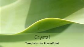  Presentation with yellow green - Presentation theme enhanced with yellow-green-leaf-macro-beautiful background and a yellow colored foreground