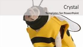  Presentation with english poet - Presentation consisting of yellow jacket - english bulldog dressed up background and a  colored foreground