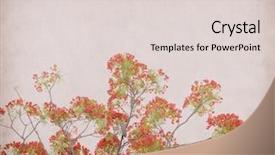  Presentation with peacock - Amazing PPT layouts having yellow journalism - peacock flowers on tree backdrop and a lemonade colored foreground