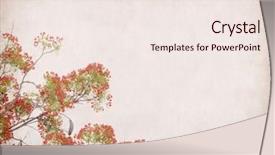  Presentation with vintage paper - PPT layouts with yellow journalism - peacock flowers on tree background and a sky blue colored foreground