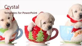  Presentation with lab - Cool new presentation theme with yellow lab puppies in christmas backdrop and a lemonade colored foreground