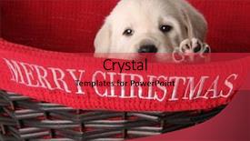  Presentation with christmas red - Slide deck enhanced with yellow labrador puppy background and a red colored foreground