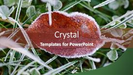  Presentation with first - Presentation having yellow-leaf-and-grass-hit background and a tawny brown colored foreground