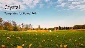  Presentation with yellow green - Colorful PPT theme enhanced with yellow leaf fall on green backdrop and a light blue colored foreground