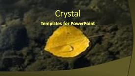  Presentation with water leaf - Presentation featuring yellow-leaf-fallen-in-lake background and a tawny brown colored foreground