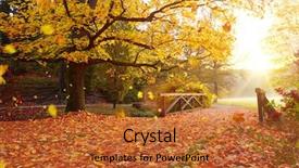  Presentation with beautiful of bamboo forest - PPT theme with yellow leaves - colorful autumn forest beautiful rural background and a red colored foreground