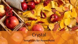  Presentation with fall food - Beautiful PPT layouts featuring yellow leaves apples pumpkin fall backdrop and a gold colored foreground