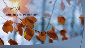  Presentation with nature sun leaves - PPT theme having yellow leaves in snow on sun late fall and early winter blurred nature background with shallow dof the first snowfall background and a light blue colored foreground