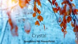  Presentation with nature sun leaves - Amazing presentation theme having yellow leaves in snow on sun late fall and early winter blurred nature background with shallow dof the first snowfall backdrop and a light blue colored foreground