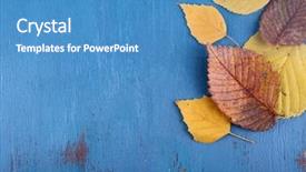  Presentation with blue yellow - Theme having yellow leaves on blue wooden background and a teal colored foreground