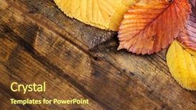  Presentation with pineapple a yellow wooden - Presentation theme having yellow leaves on brown wooden background and a tawny brown colored foreground