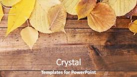  Presentation with yellow wood - Slides featuring yellow leaves on brown wooden background and a  colored foreground