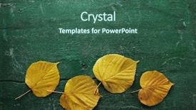  Presentation with yellow leaves of ginkgo biloba - Colorful PPT layouts enhanced with yellow leaves on green wooden backdrop and a ocean colored foreground
