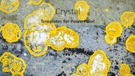  Presentation with lichen - Audience pleasing presentation design consisting of yellow-lichen-on-grey-rock backdrop and a yellow colored foreground