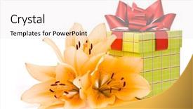 Presentation with lily - Amazing presentation theme having yellow lily and gift box on a white background backdrop and a sky blue colored foreground