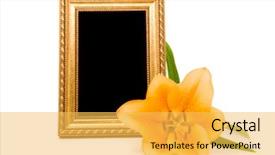  Presentation with gold frame - Amazing PPT layouts having yellow lily and gold frame backdrop and a yellow colored foreground