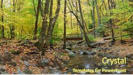  Presentation with wood bridge - Beautiful slides featuring autumn forest with wood bridge backdrop and a tawny brown colored foreground