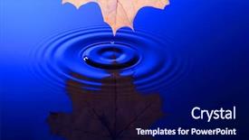  Presentation with water leaf - PPT layouts featuring yellow maple leaf and drop of blue water background and a navy blue colored foreground