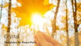  Presentation with maple leaf - PPT theme featuring yellow-maple-leaf background and a yellow colored foreground