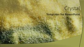  Presentation with mold - Beautiful PPT layouts featuring yellow-mold-background-macro-view backdrop and a yellow colored foreground