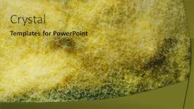  Presentation with mold - PPT theme featuring yellow-mold-background-macro-view background and a yellow colored foreground