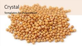  Presentation with mustard yellow - Beautiful presentation theme featuring yellow mustard seeds isolated backdrop and a  colored foreground