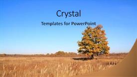  Presentation with multicolored autumn leaves orange yellow red - Audience pleasing slides consisting of yellow oak on autumn field backdrop and a  colored foreground