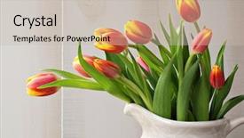  Presentation with old fashioned women - Audience pleasing presentation theme consisting of yellow orange - freshly misted spring tulips backdrop and a soft green colored foreground