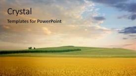  Presentation with wheat - Beautiful PPT theme featuring yellow orange blue - field of wheat backdrop and a coral colored foreground