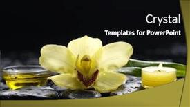  Presentation with black yellow - Cool new slide set with yellow-orchid-and-black-stones backdrop and a black colored foreground