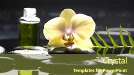  Presentation with massage therapy - Presentation design having yellow orchid and fern leaf with massage oil with therapy stones background and a tawny brown colored foreground