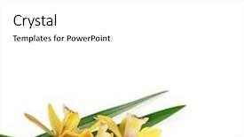  Presentation with orchid - PPT theme featuring yellow-orchid-flower-on-white background and a white colored foreground