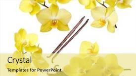  Presentation with vanilla - Cool new slide set with yellow orchid flowers and vanilla backdrop and a yellow colored foreground