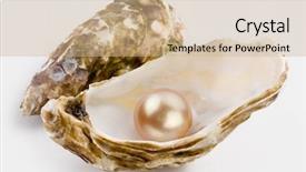  Presentation with pearl oyster - Theme with yellow pearl is background and a coral colored foreground