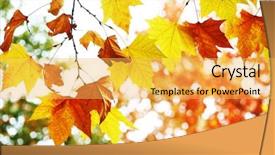  Presentation with phoenix - Cool new presentation design with yellow phoenix leaf in autumn backdrop and a  colored foreground