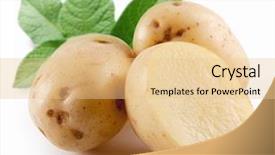  Presentation with potato - Beautiful theme featuring yellow potatoes with leaves backdrop and a lemonade colored foreground