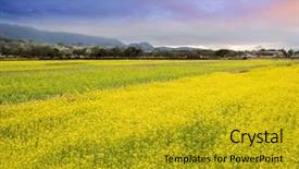  Presentation with farm - Colorful theme enhanced with yellow rape flowers farm countryside backdrop and a gold colored foreground