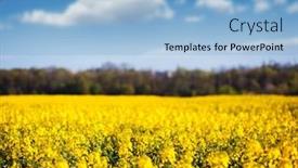  Presentation with ukraine - 